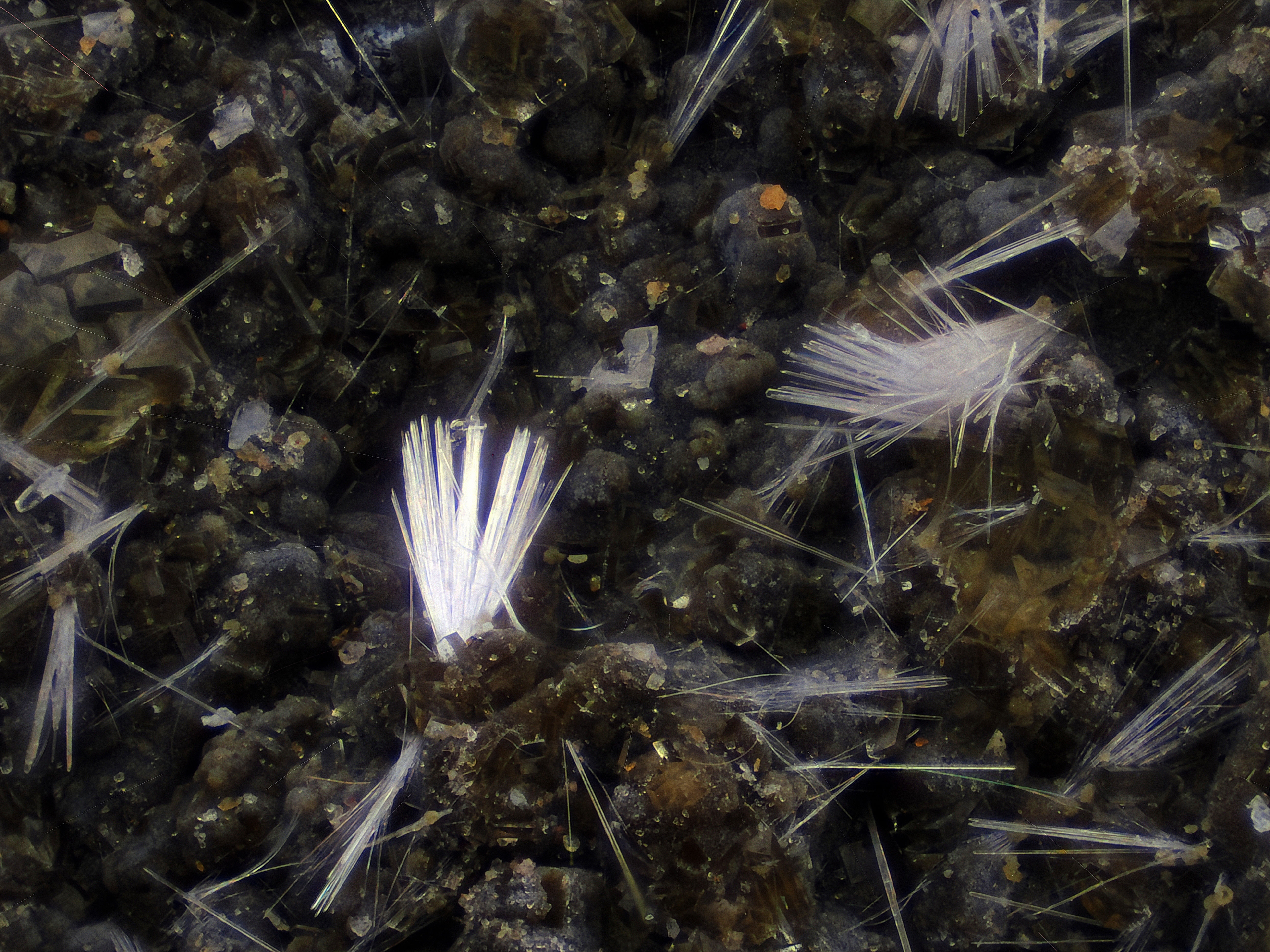 Natrolite | Weitendorf, Autriche - Micromount