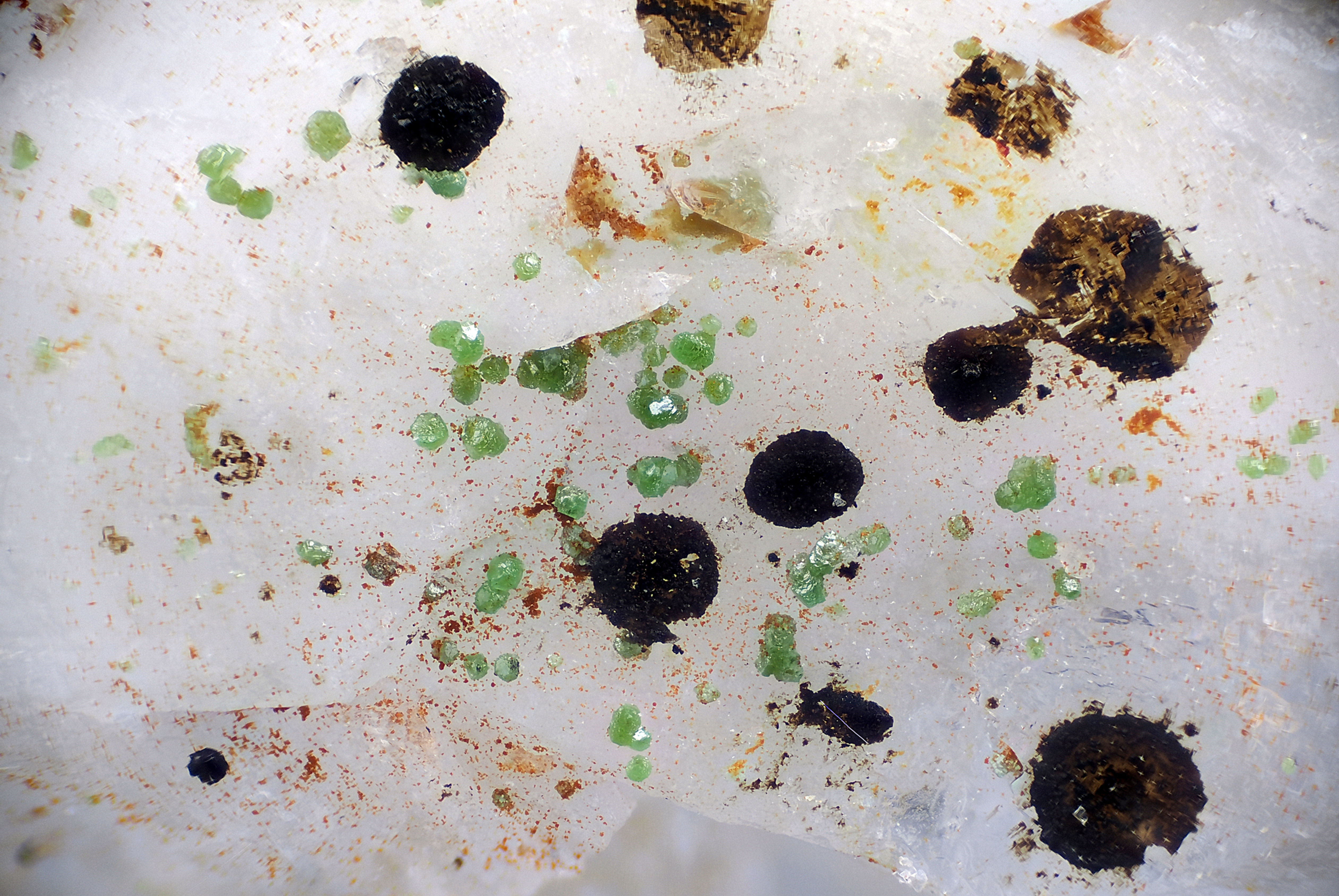 Bayldonite - Wheal Carpenter - UK