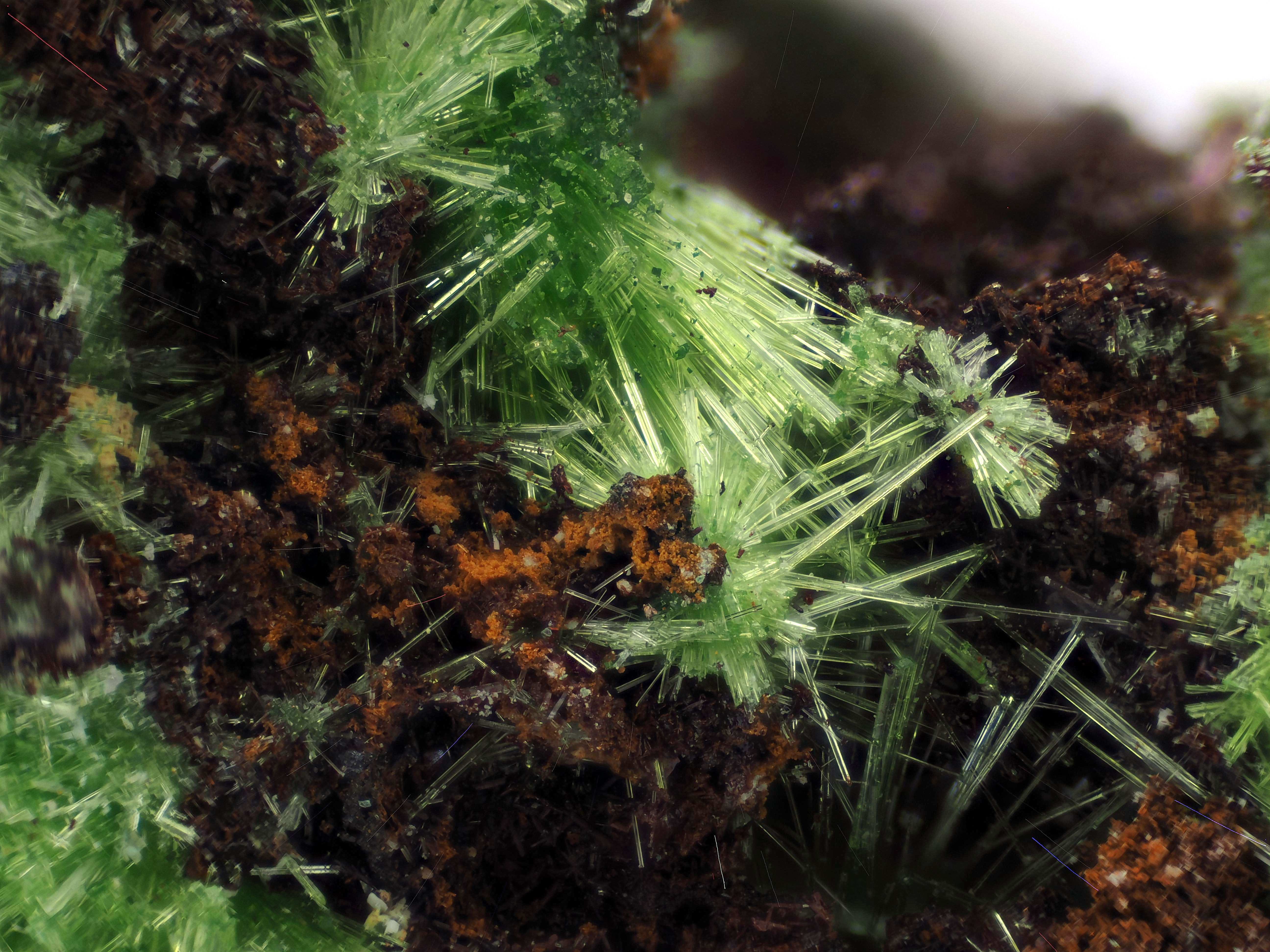 Cuprosklodowskite | Musonoi, Congo RD - Micromount