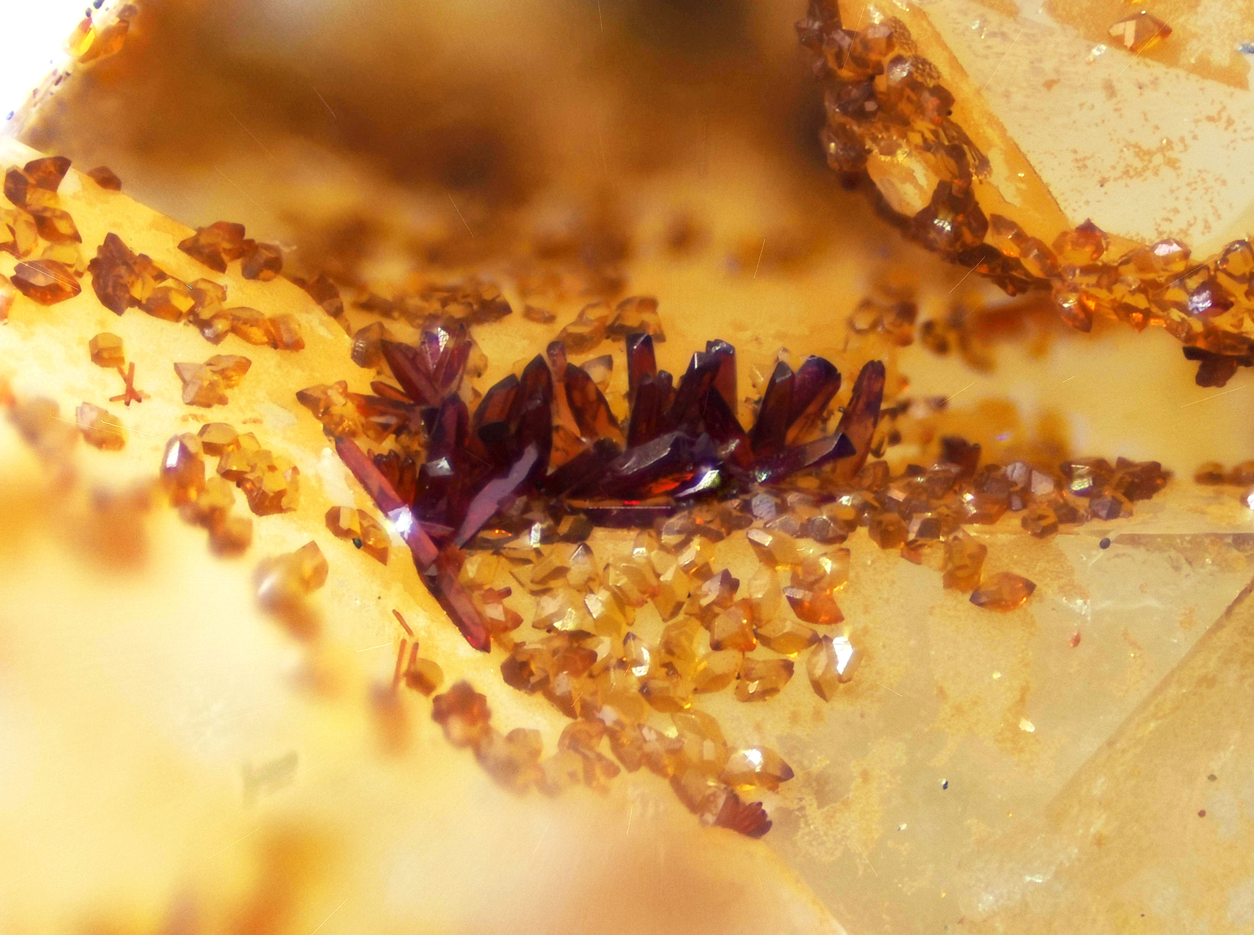 Carminite Segnitite | Gestoso, Portugal - Micromount