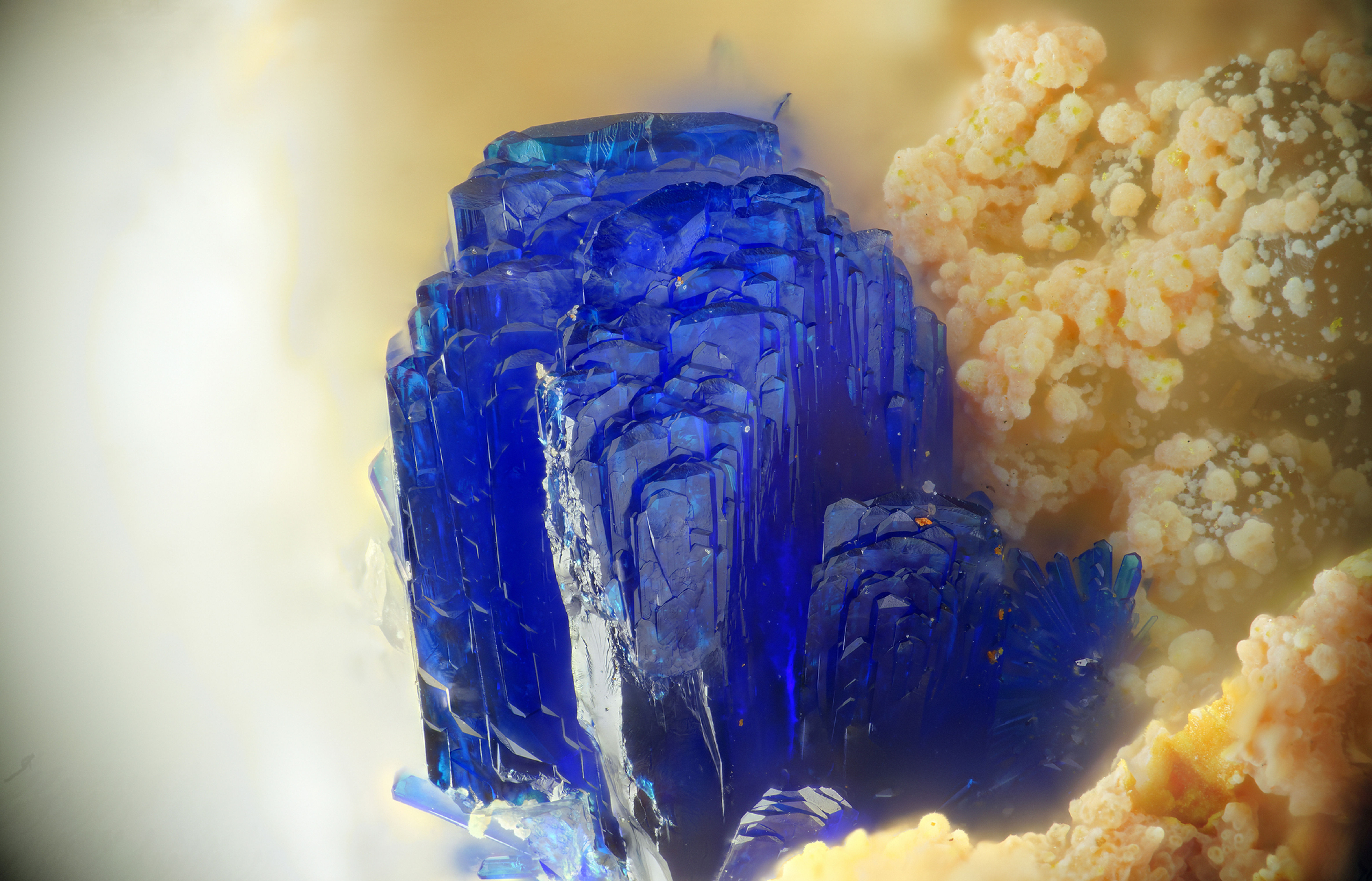 Azurite | Mas Dieu, France - Micromounts