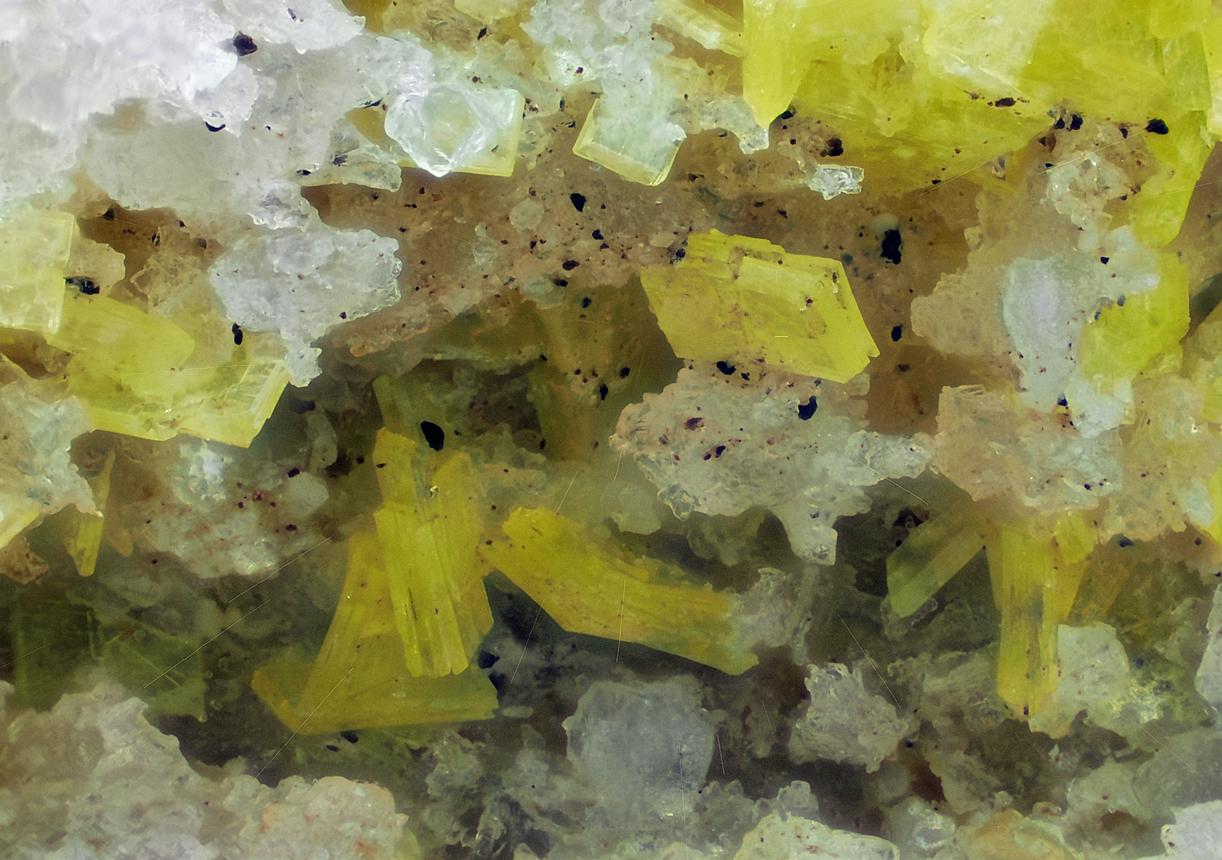Autunite | Bric Colmé, Italie - Micromounts
