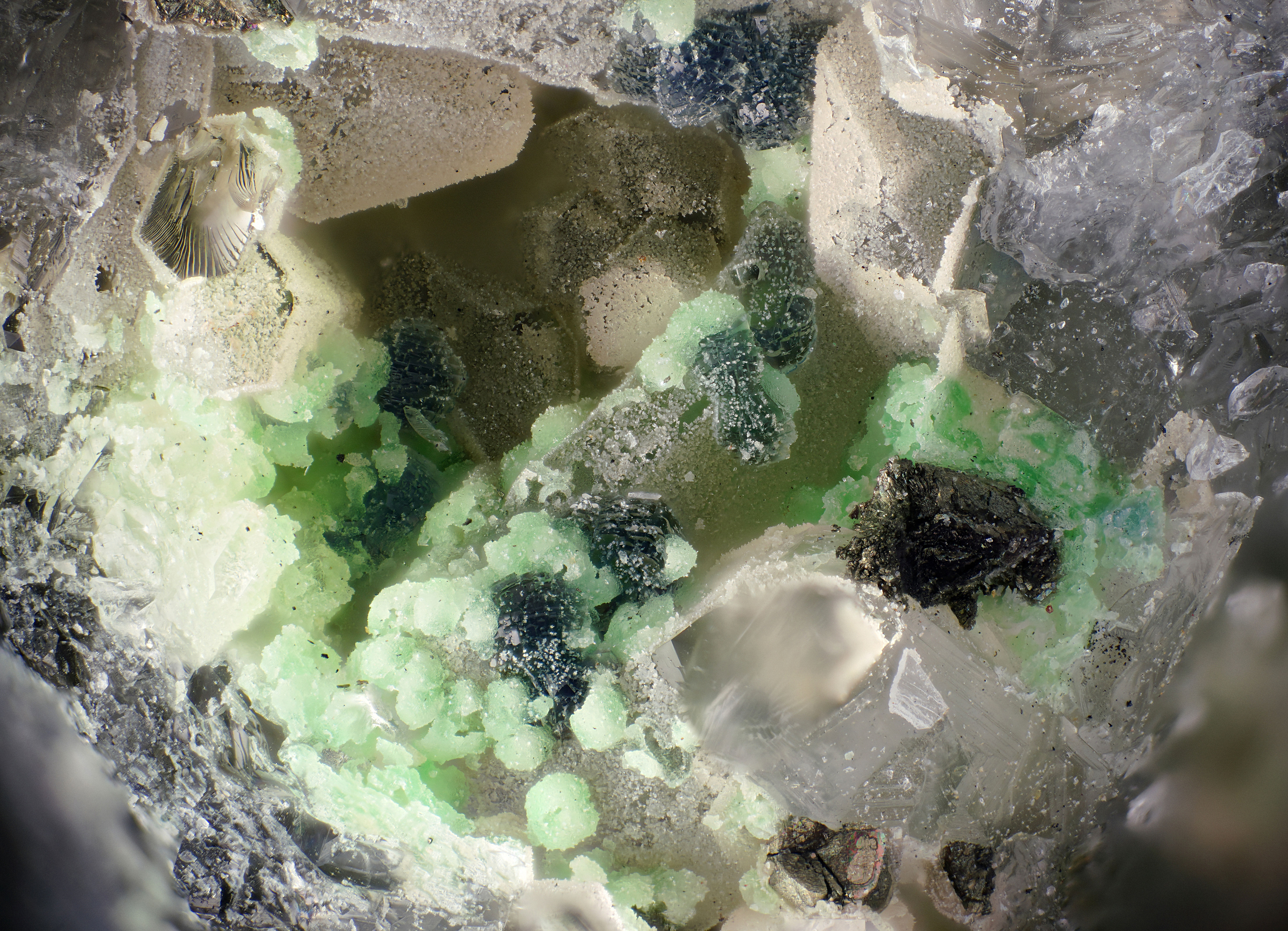 Variscite Wavellite | La Floquerie, France - Micromounts