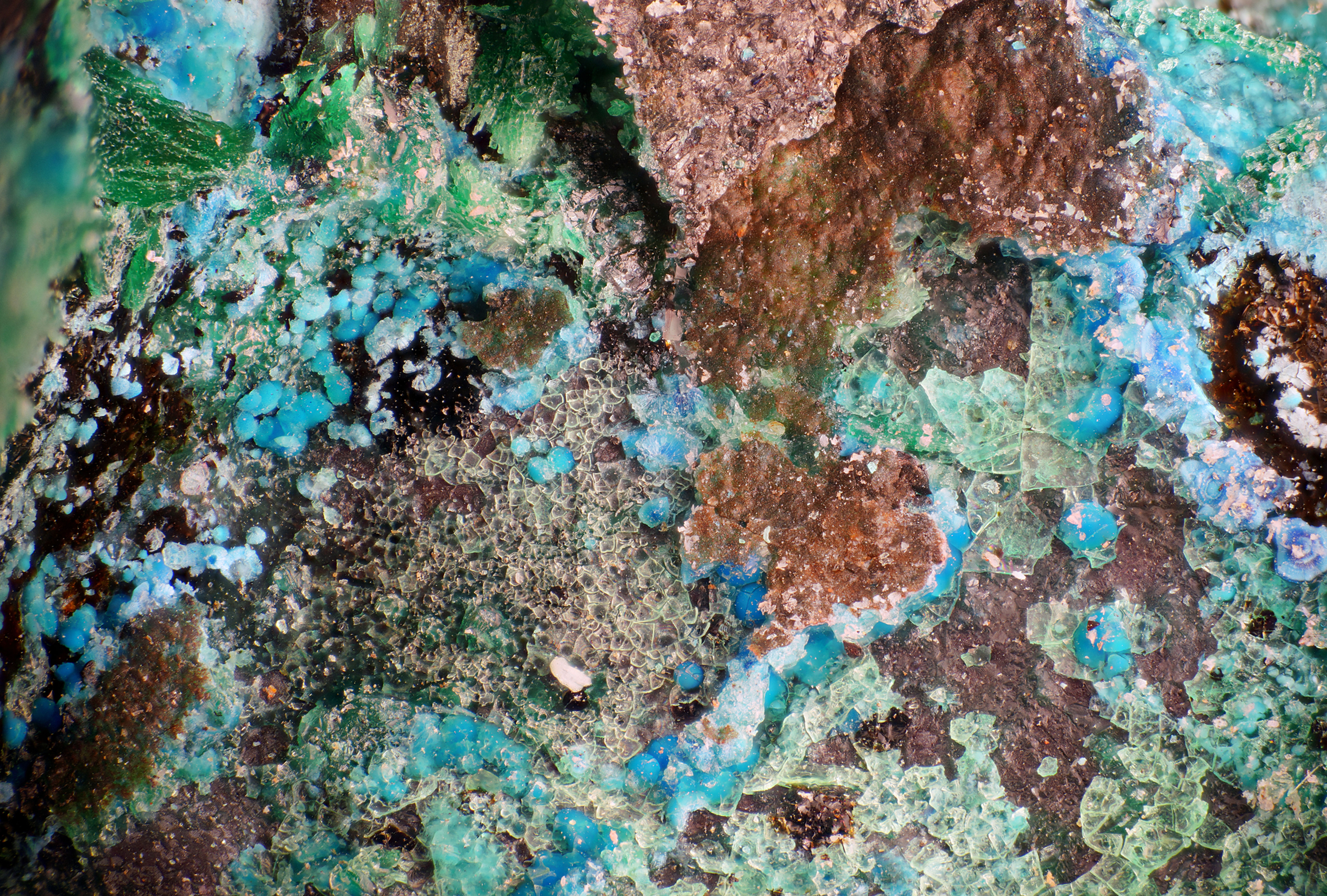 Connellite | Avissalos, Grèce - Micromounts