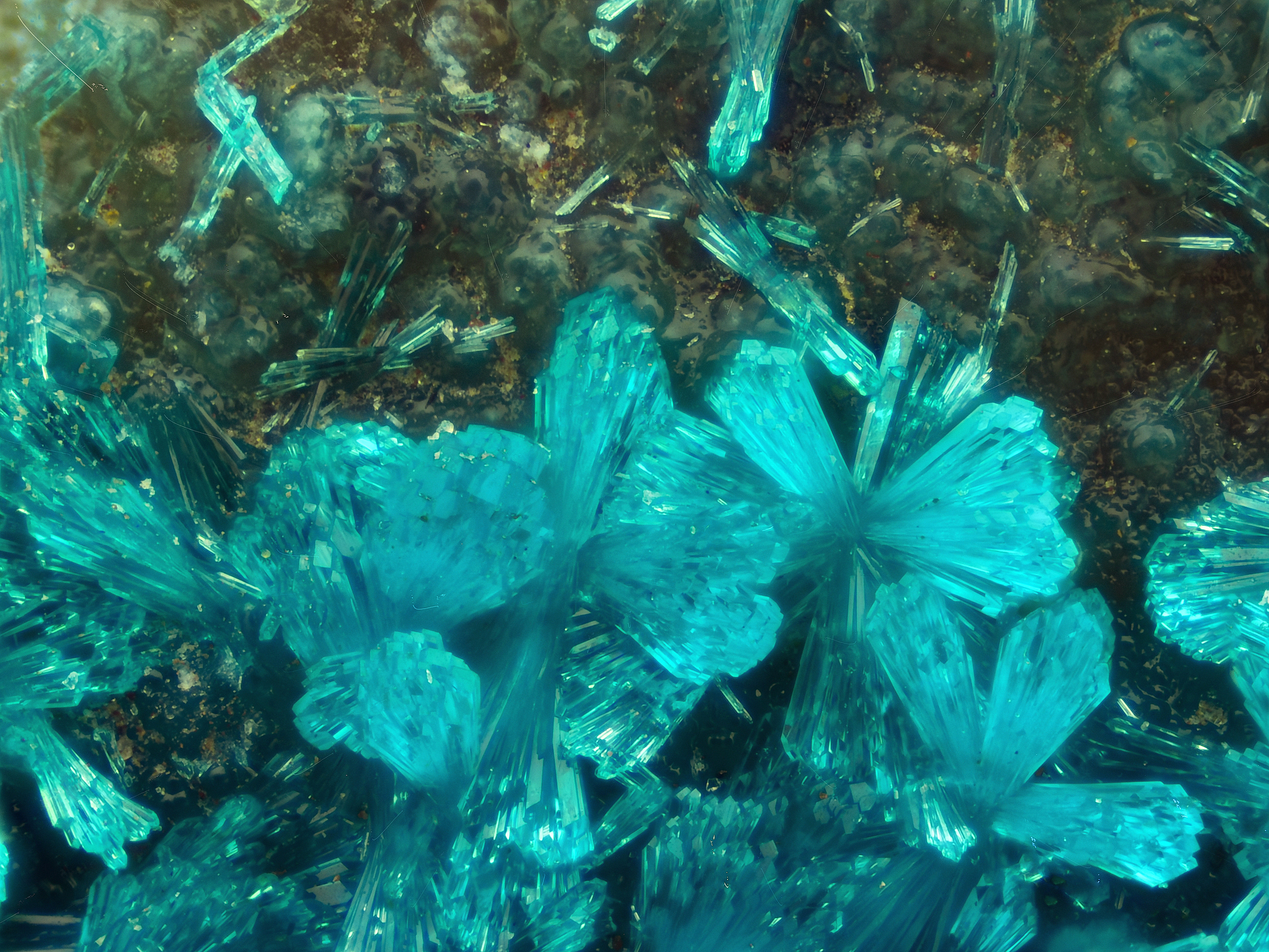 Dioptase | La Farola, Chili - Micromount
