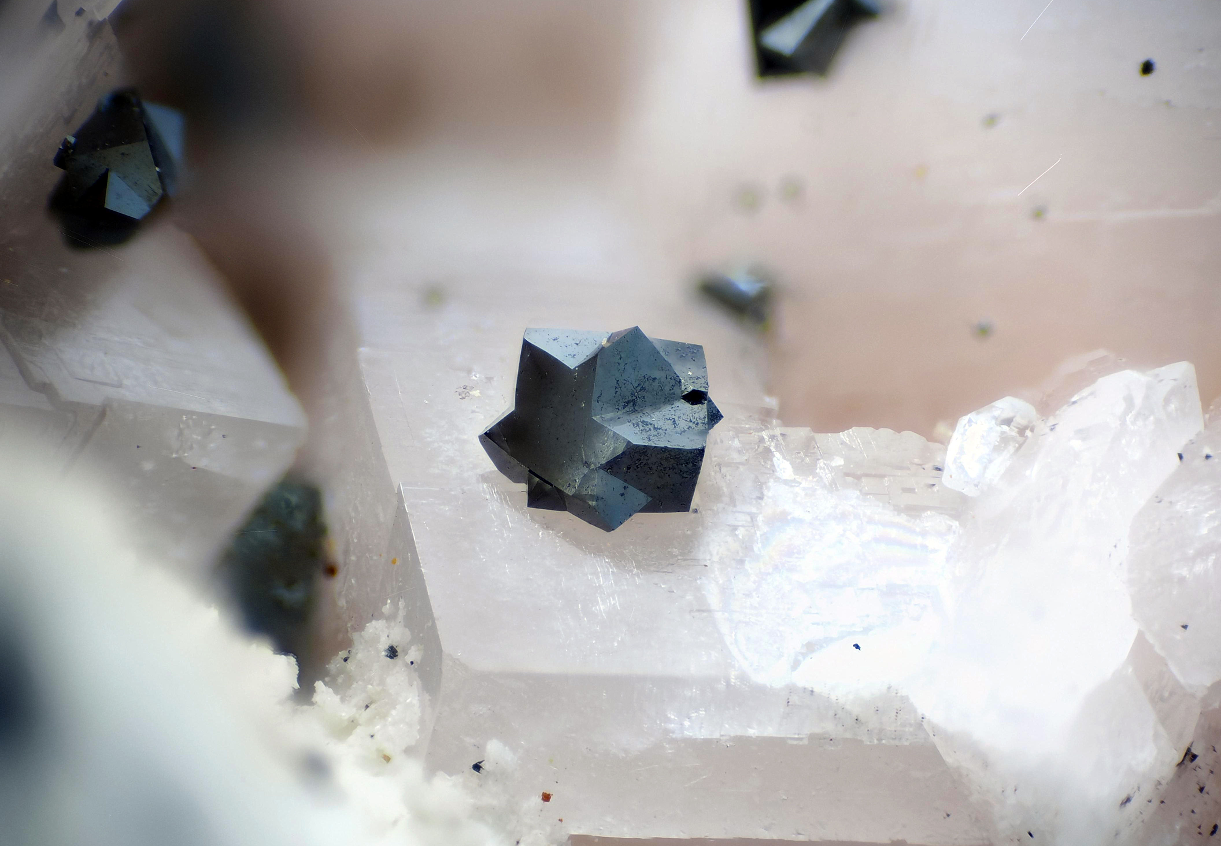 Hematite | Ightem, Maroc - Micromount