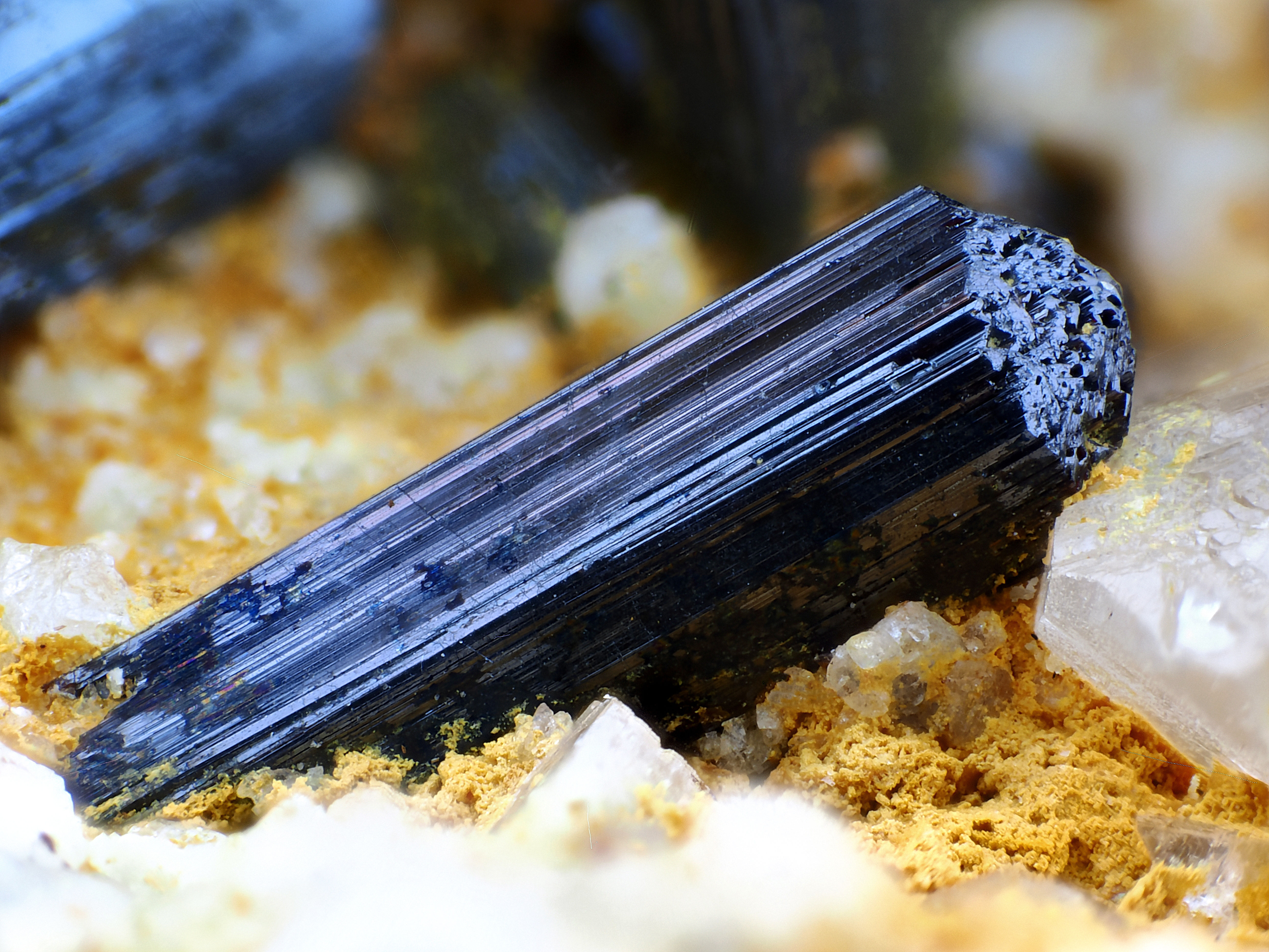 Rutile | Susa Valley, Italie - Micromounts