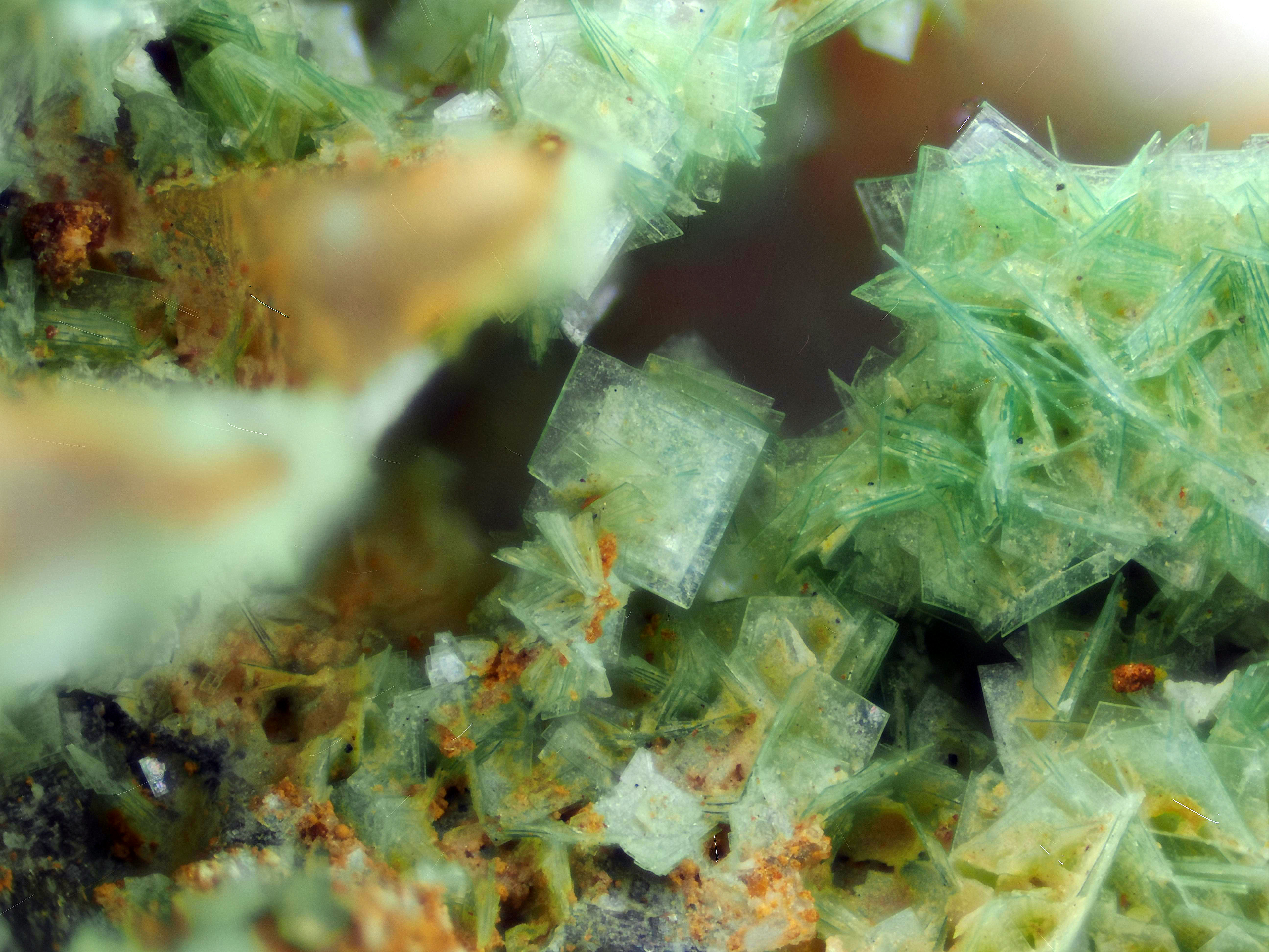 Torbernite | Chaméane, France - Micromount