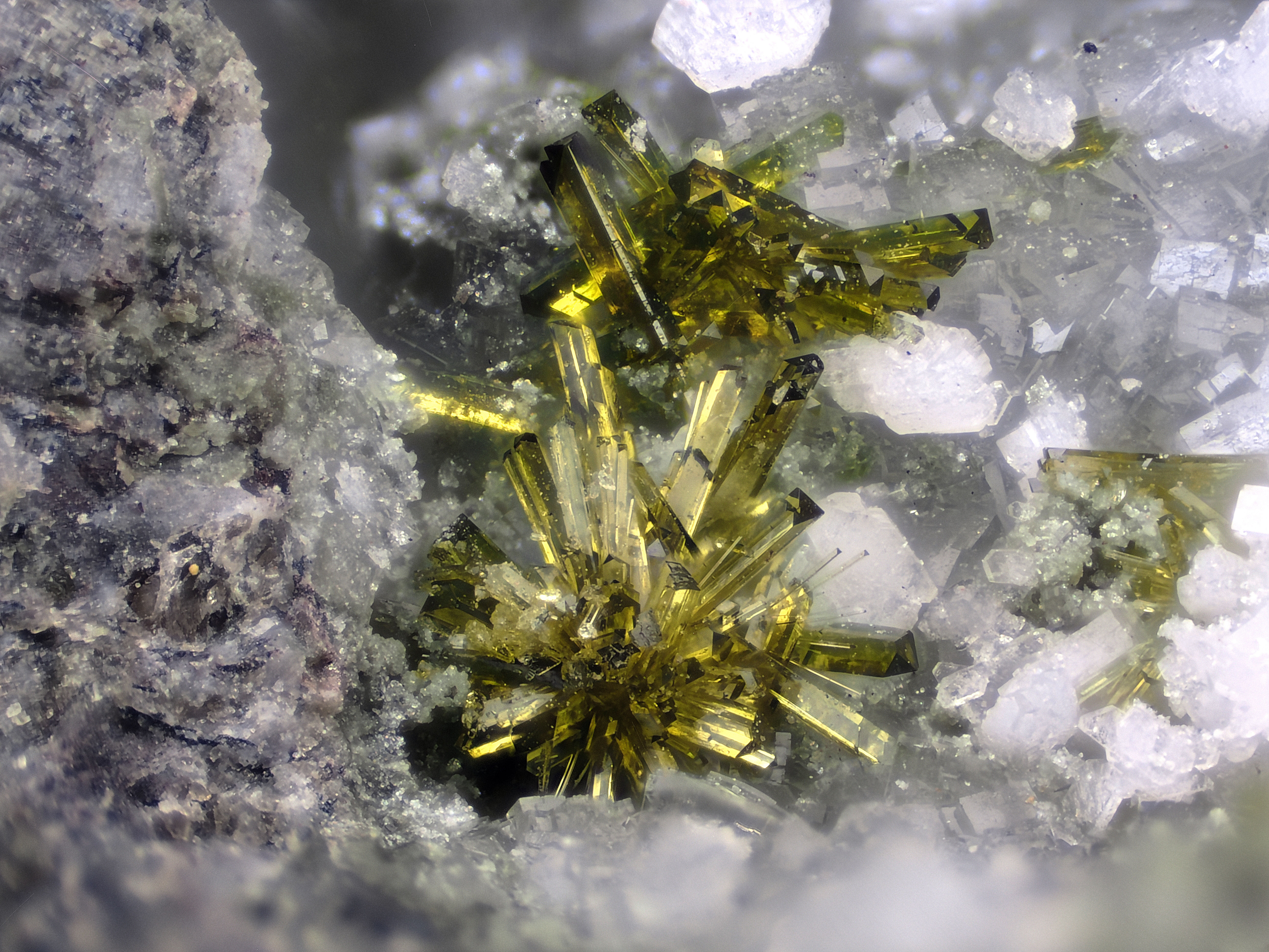 Epidote | Bras de Cilaos, La Réunion, France - Micromounts