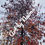 Thumbnail: Photo Art Canvas Prints