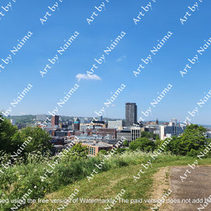 Sheffield in a Valley