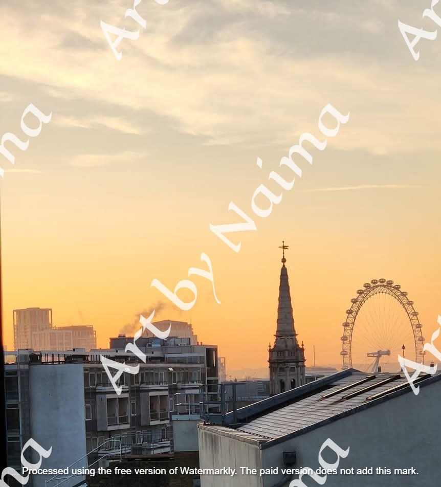 495491673_697332432883615_7839550431186741729_n_697332429550282