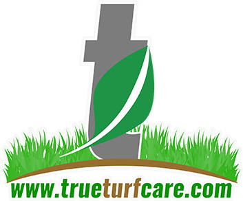 Logo 5.png