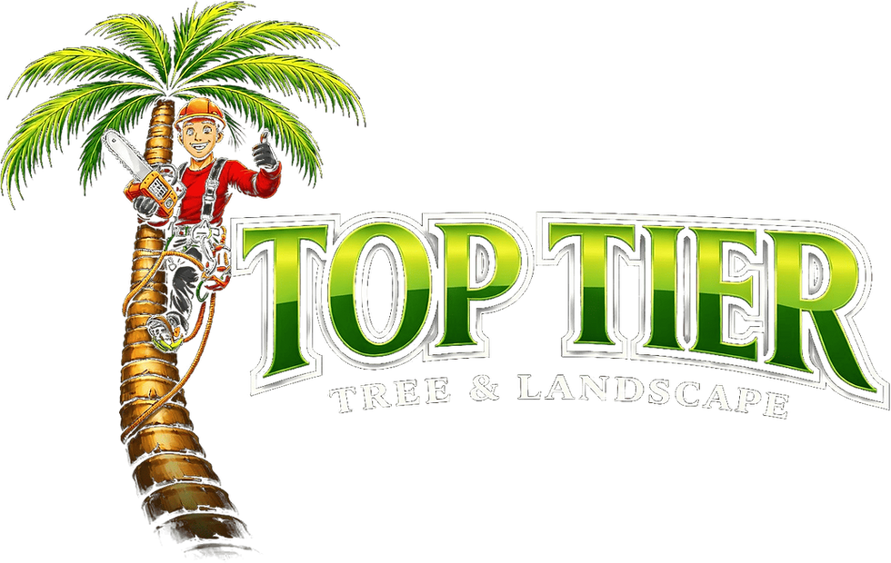 TT LOGO _edited.png