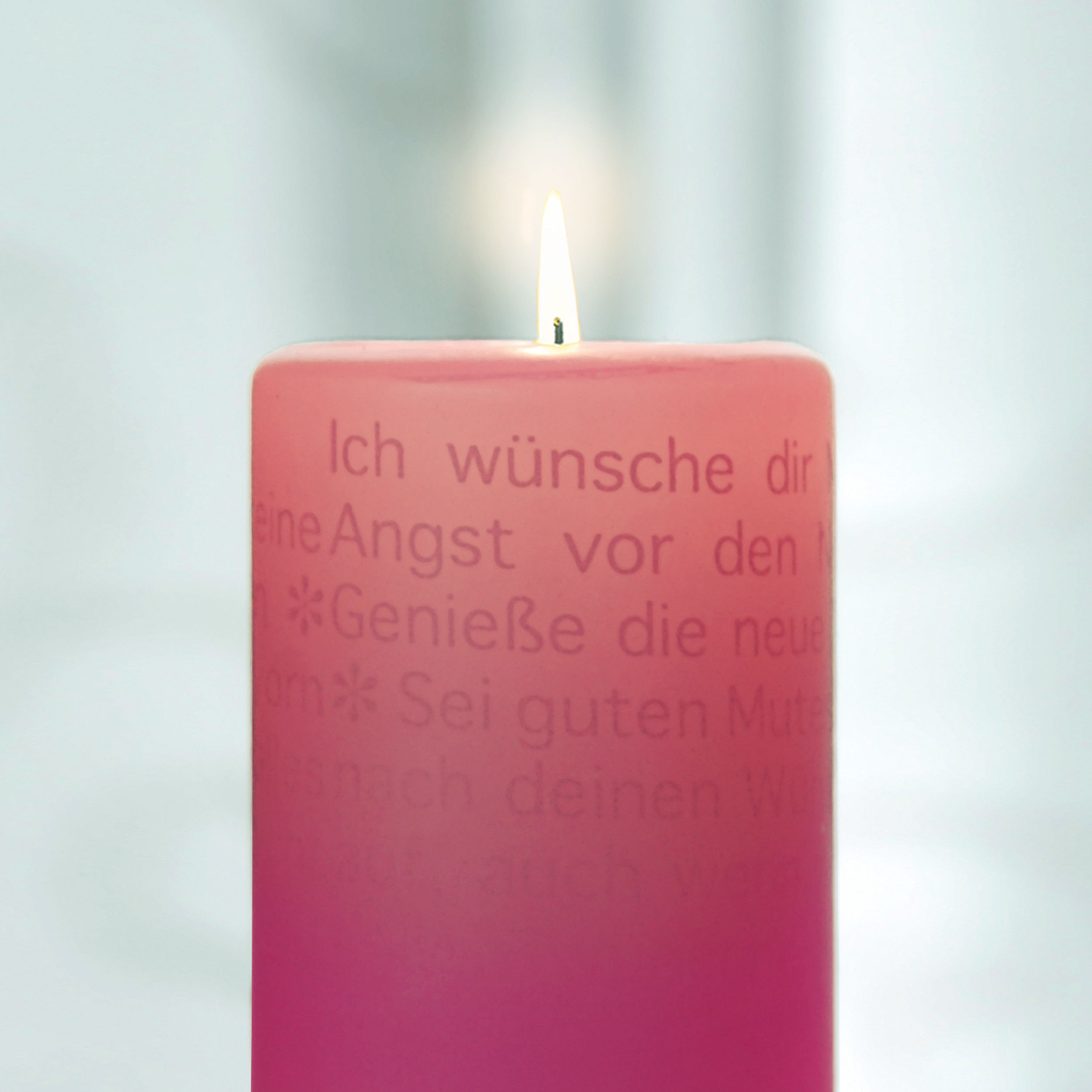 Wortlicht – Rosige Zukunft