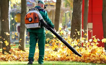 Leaf cleanup