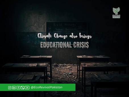Pakistan's Educational Climate Emergency