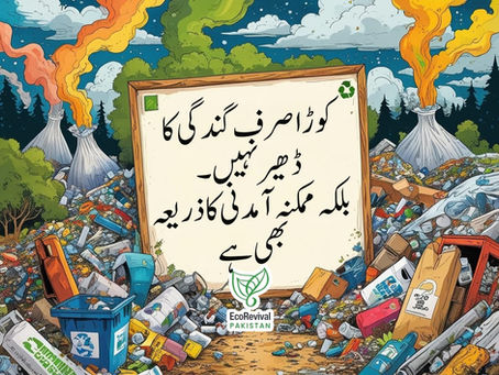 Pakistan's Untapped Trillion-Dollar Climate Solution