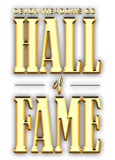 HoF Gold Stacked 2.png