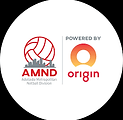 AMND.png