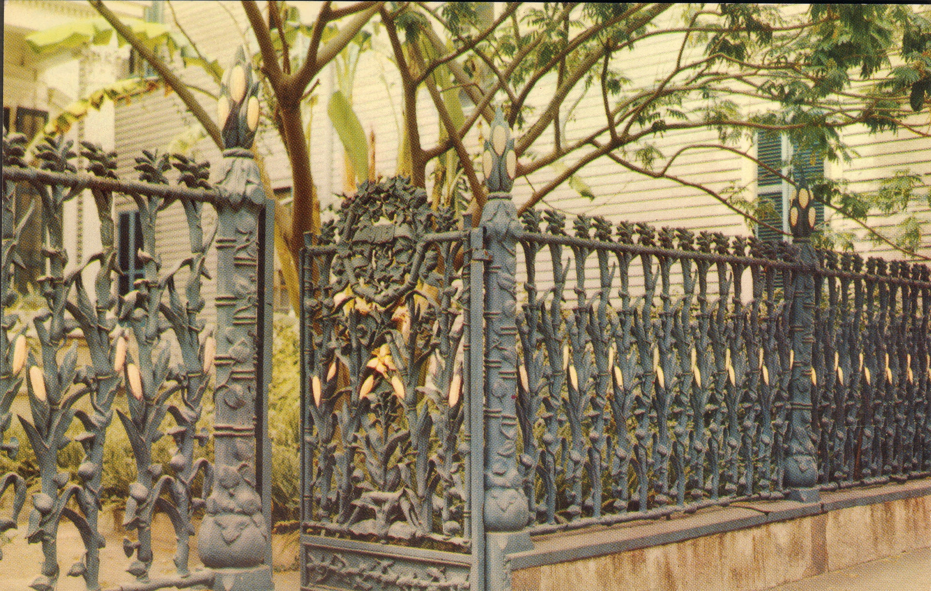 Vintage postcard