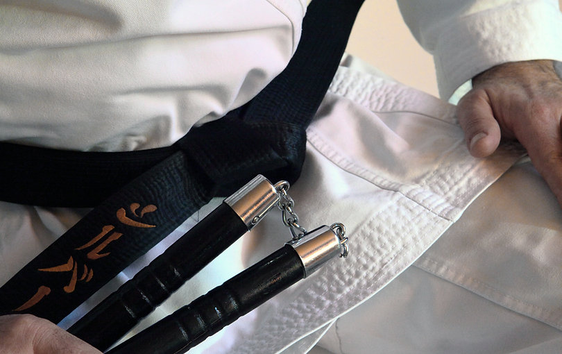 Kung Fu Nunchaku