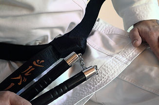 Kung Fu Nunchaku