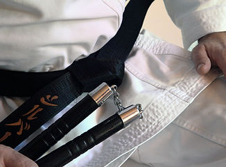 Kung Fu Nunchaku