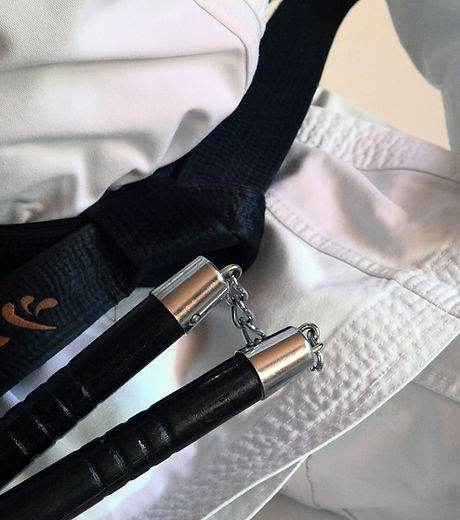 Kung Fu Nunchaku