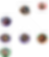 Organigramme 2025.png