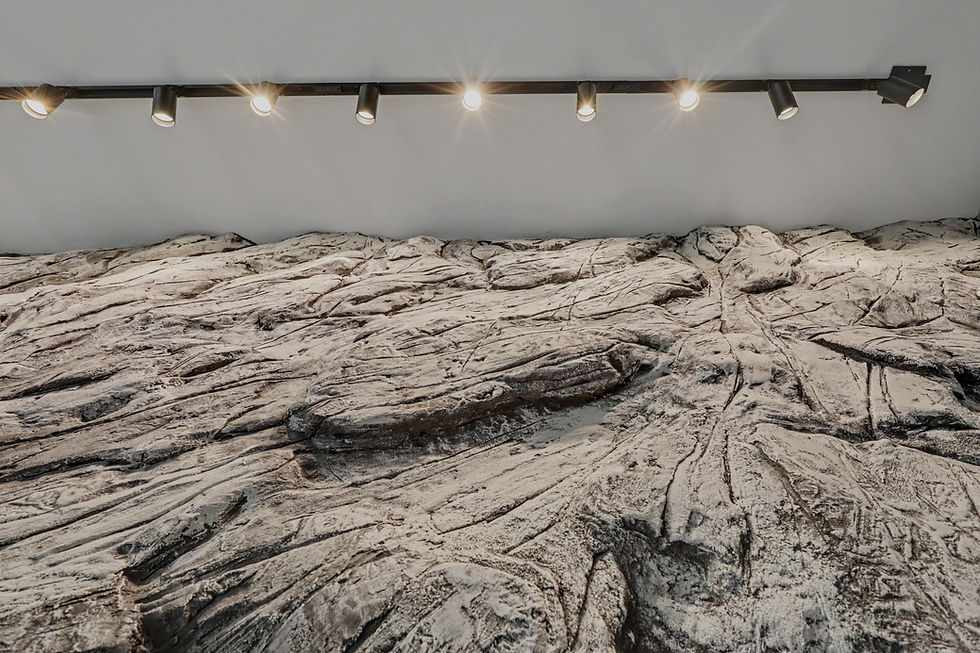 Textured stone wall with modern track lighting design.