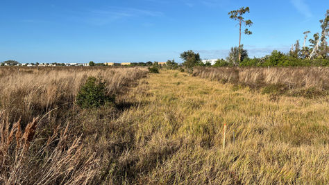 Navigating the Unexpected: A Hurricane and a Protected Species