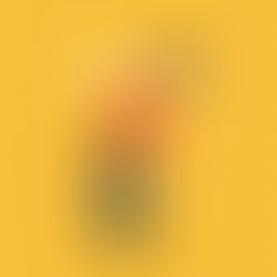 Getting rid of Stress Build-up: Cortisol Explained