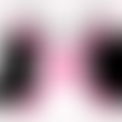 Having a No-Buy Month. Is It Worth It?