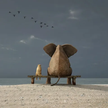 COVID-19: The Aftermath from a Behavioral Science Perspective