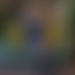 Interview with Paulina Lang