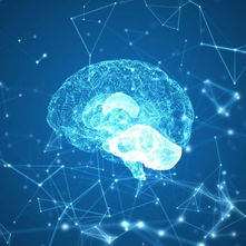 Money on the Brain: Neuroeconomics