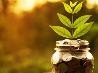 The Financial Detox 