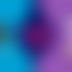 Decisions from Experience vs. Learning: Which Knows Best?