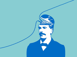 Best Resources to get into Behavioural Science (Online Media Edition)