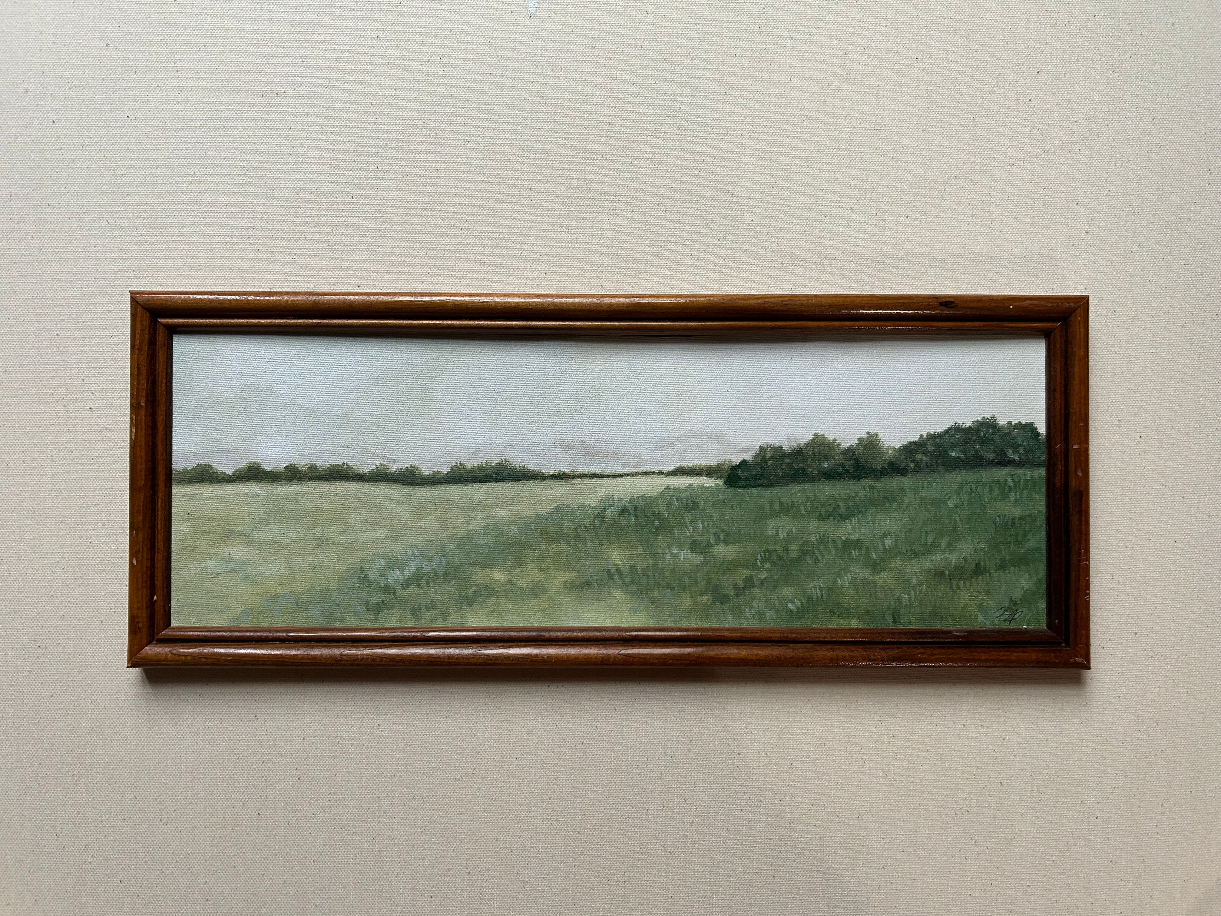 Grassland- 22x9