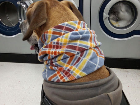 November - Thankful & Grateful