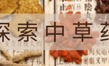 探索中草药的力量:古老智慧,现代健康