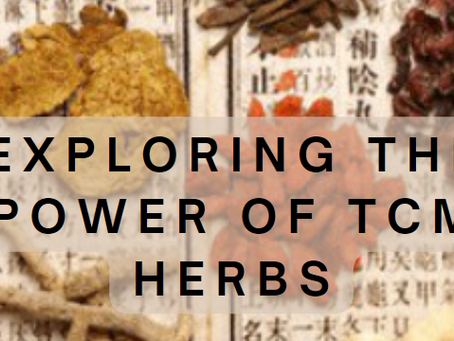 Exploring the Power of TCM Herbs: Ancient Wisdom for Modern Wellness