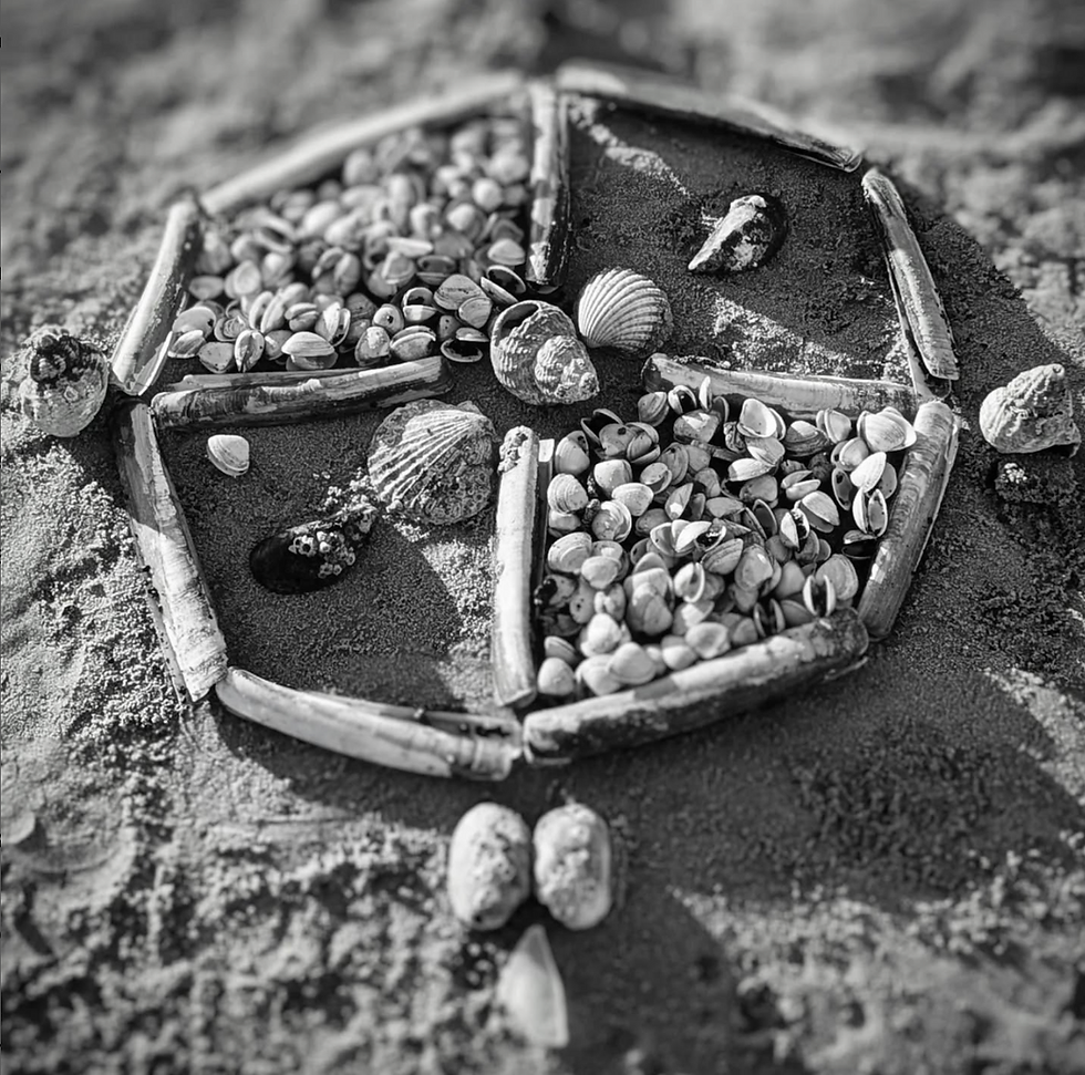 Screenshot 2025-06-14 at 19.16.46