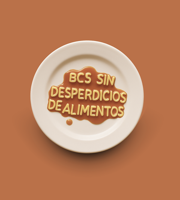 BCS SIN DESPERDICIO.... (3).png
