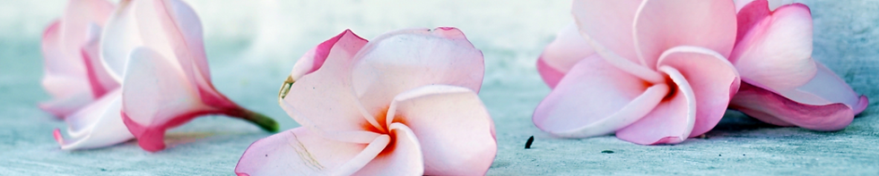 Add a heading (6).png