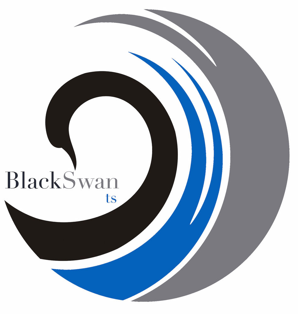 Black Swan ts: Opening new responses to emerging security needs.