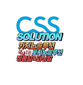 국내 1등 솔루션 CSS솔루션 이미지