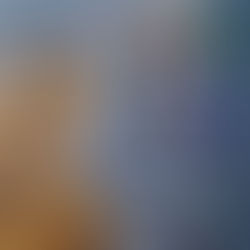 徳島のさかな(R7.10.21更新)